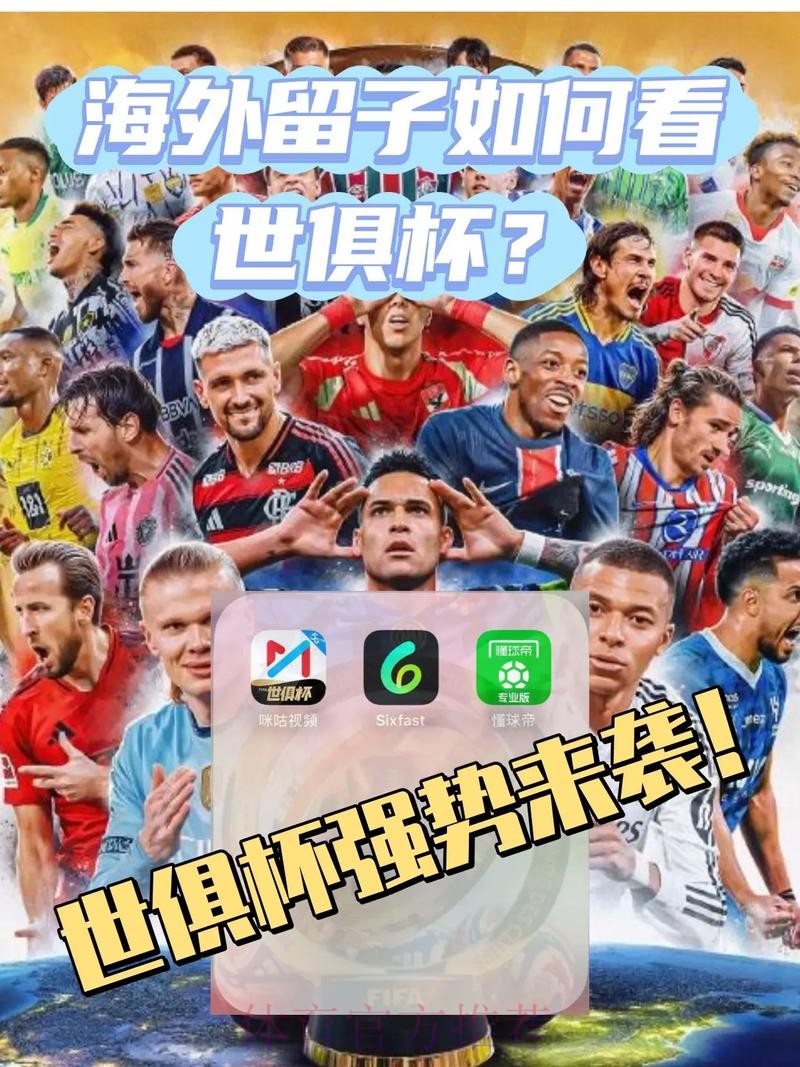 世界杯法国梅西战术分析完整指南